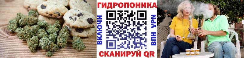 как найти закладки  Вытегра  blacksprut ссылки  Печенье с ТГК конопля 