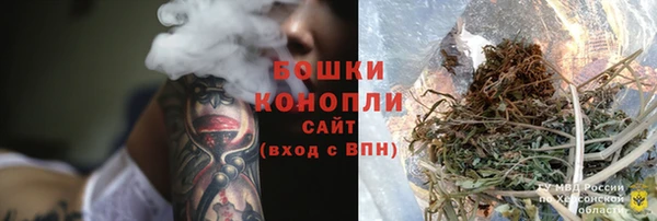 прущие грибы Саяногорск