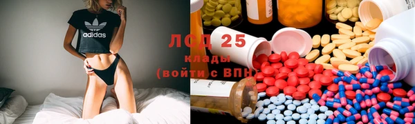 ПСИЛОЦИБИНОВЫЕ ГРИБЫ Верхнеуральск