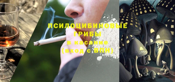 ПСИЛОЦИБИНОВЫЕ ГРИБЫ Верхнеуральск