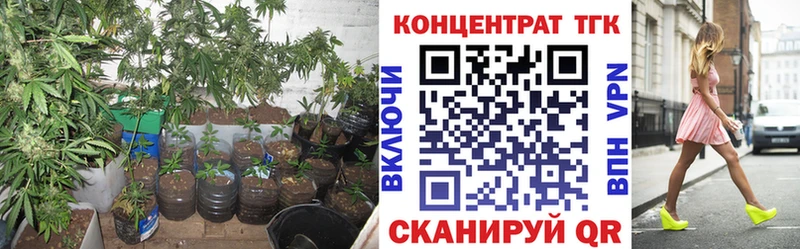 ТГК вейп с тгк  наркошоп  Вытегра 